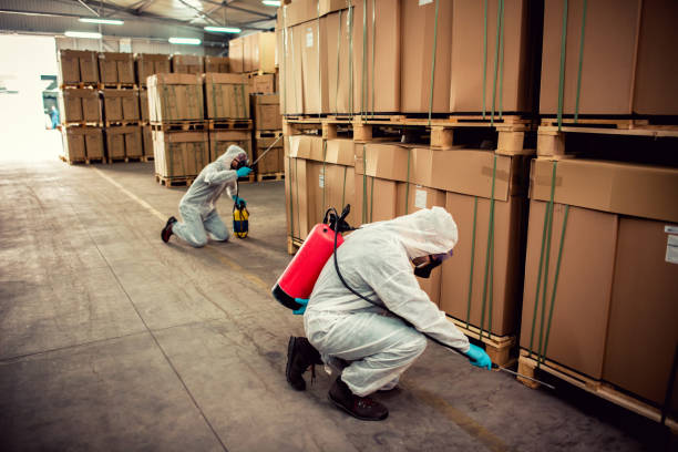 Best Local Pest Control Services  in Quail Creek, TX