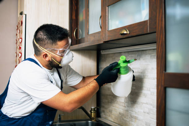 Trusted Quail Creek, TX Pest Control Experts