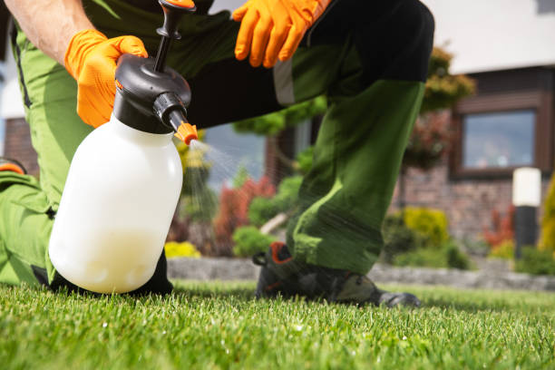 Best Best Pest Control Companies  in Quail Creek, TX