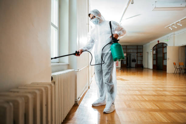 Best Pest Control Near Me  in Quail Creek, TX
